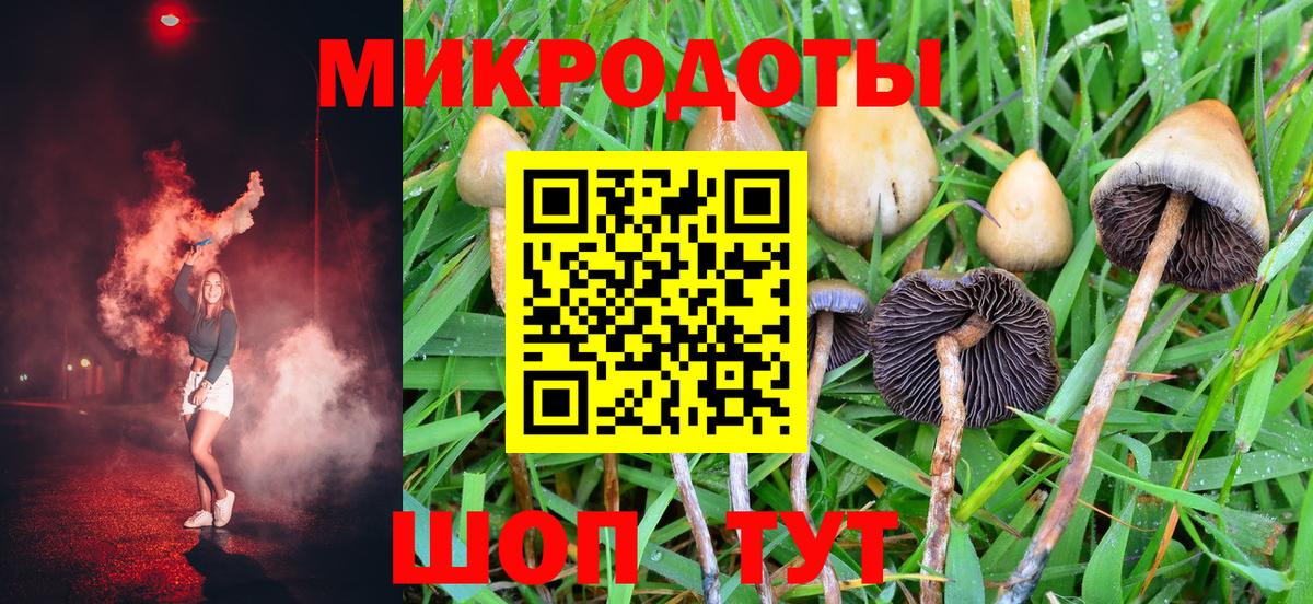 Галлюциногенные грибы прущие грибы Дмитров