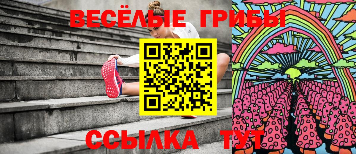 Дмитров  Галлюциногенные грибы Psilocybe  Вход с VPN 